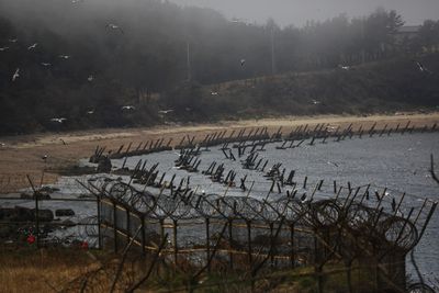 Americans detained trying to send rice, Bibles, dollar bills to North Korea