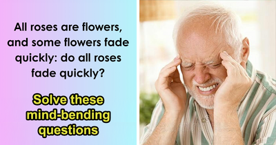21 Mind-Bending Questions That Will Fry Your Brain, Unless You Are A Logic Genius