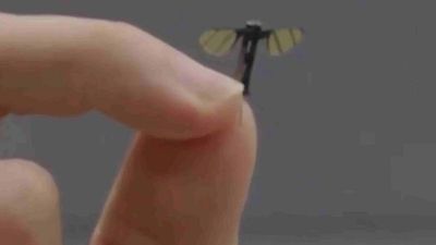 China unveils tiny spy drone that looks like a mosquito. What other small spy drones exist?
