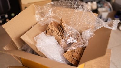 Experts are saying to use bubble wrap in your yard this summer — here's how