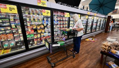 Tariff Rollbacks Won't Bring Instant Price Relief