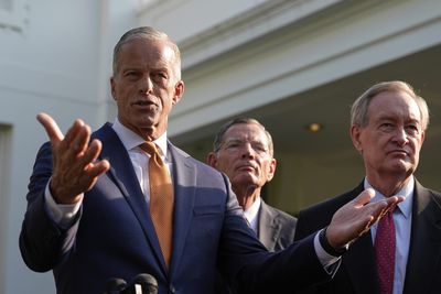 Renewables leaders parse the damage to their industry as Senate finalizes vote on 'big beautiful bill'