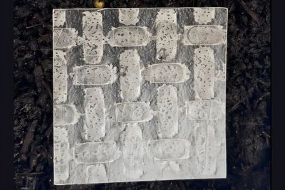 Robots made from unlikely new material