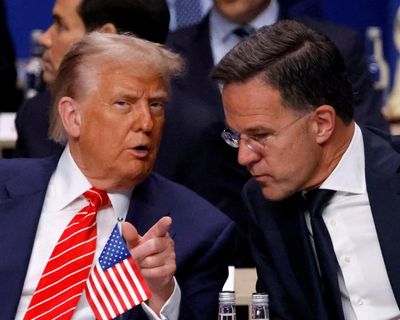‘Orchestrated grovel’: critics react to Europe’s attempts to tame Donald Trump
