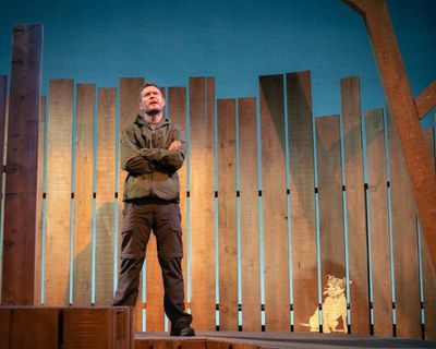 Man’s Best Friend review – lockdown, loneliness and a pack of cute canines