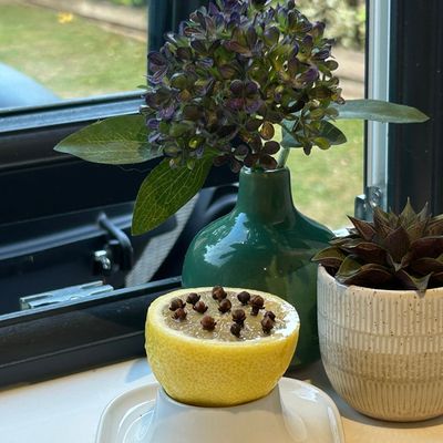 Keep flies out of your home with this natural and cheap trick – all you need is a lemon and cloves