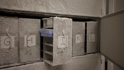 'It is our obligation to future generations': Scientists want thousands of human poop samples for microbe 'doomsday vault'