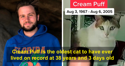 34 Facts That May Mess With Your Chronological Understanding Of Things, As Shared By This Guy