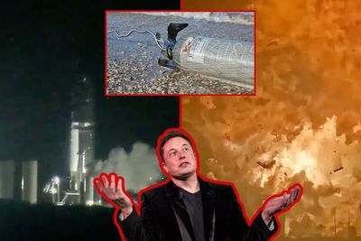 Scientist Slams Elon Musk's SpaceX After Rocket Explosion Fragments Decimates Marine Animals: 'Unacceptable!'