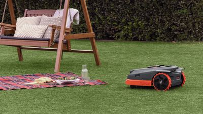 Segway Navimow X350E review: adanced features that set it ahead of the game