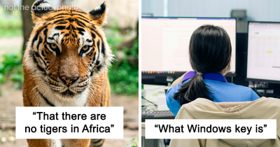 80 Everyday Facts That People Realized Not Everyone Knows