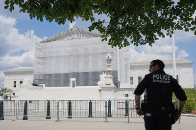 What cases did the US Supreme Court decide at the end of its 2024 term?