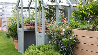 How to declutter a shed – get tools, seeds, and DIY essentials organized for easy home and yard maintenance in summer and beyond