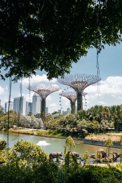 How to spend 48 hours in Singapore: award-winning street food and rainforest walks