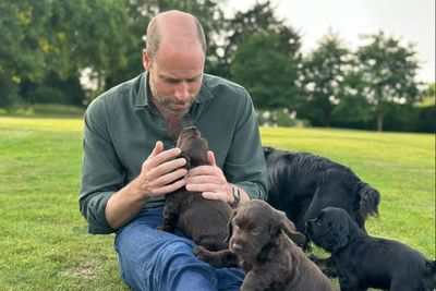 I’m with Prince William – there’s a reason people want pure breeds, not rescue dogs