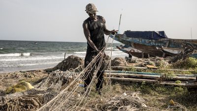 How Europe’s appetite for farmed fish is gutting Gambia's coastal villages
