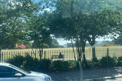 Six-year-old fighting for her life and girl, 7, dead after tree falls in public park