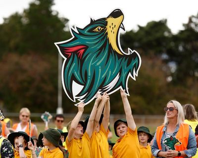 Glory and Fury to Devils and Dolphins: Australian team names come full circle