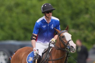 Royal donor offered access to Prince of Wales for cash, reports say