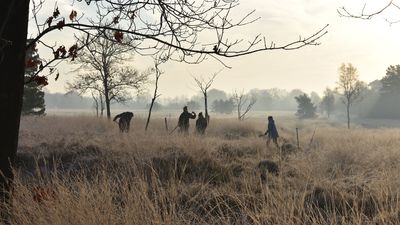 Roman army camp found in Netherlands, beyond the empire's frontier