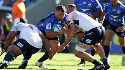 'I'd give up my left testicle': Tom Robertson