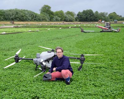 Dawn of the drone age: how agri-tech is boosting production and morale