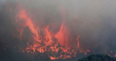 Dramatic pictures show emergency services tackling huge wildfire in Highlands