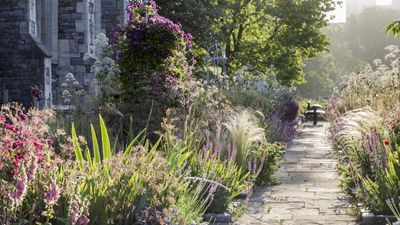 You can save your garden plants from the searing heat with this 1 household item that you definitely already own