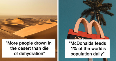 Someone Asked People “What Is A True Fact That Sounds Fake?” And 27 Delivered Illuminating Responses