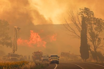 Turkey wildfires: Izmir airport forced to close with flights cancelled and diverted