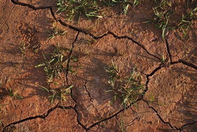 When the Soil Dries Up and the Labels Stay On