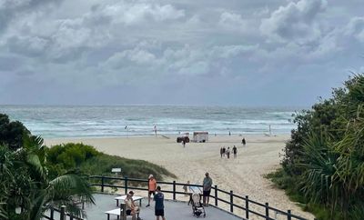 Are Sharks a Problem in Australia? Cabarita Beach Locals in Shock After 7ft Shark Mauls Teen Swimmer