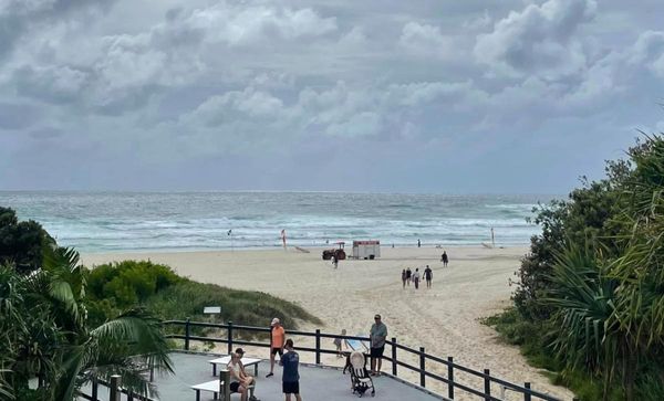 Are Sharks a Problem in Australia? Cabarita Beach Locals in Shock After 7ft Shark Mauls Teen Swimmer
