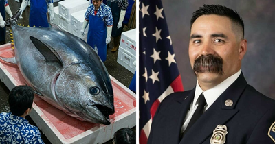 “Nature, Animals & Random Fun Facts”: 69 Bizarre Images That Might Teach You Something New