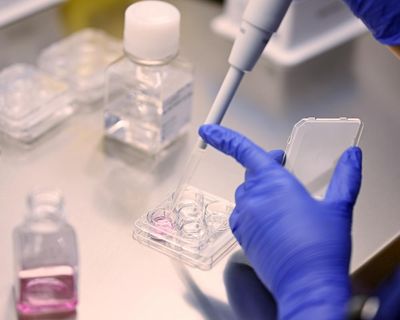 People having IVF should get time off work for appointments, say UK campaigners