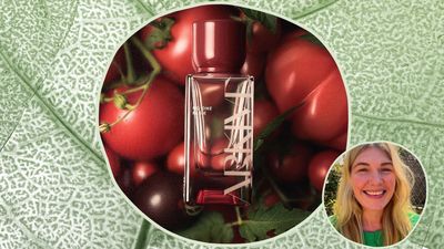 If you try one product, make it a juicy 'green' perfume that should cost five times its price