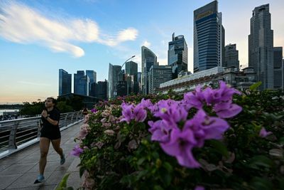 Tougher Singapore Crypto Regulations Kick In