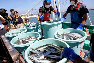 China eases ban on Japanese seafood over Fukushima wastewater