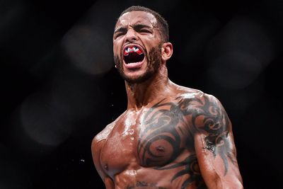‘I was chewed up and spat out – fighters deserve better’: Danny Roberts on starting fresh after post-UFC pain