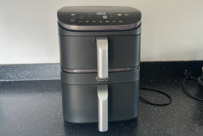 11 best dual air fryers for family meals, reviewed at home