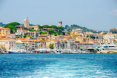 Now Cannes bans large cruise ships as overtourism row rattles on