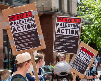 Judge grants Palestine Action urgent hearing to try to stop ban taking effect