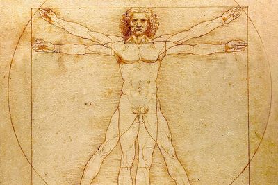 London dentist discovers hidden detail in Da Vinci’s Vitruvian Man