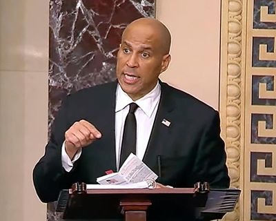 Throwing their bodies on the gears: the Democratic lawmakers showing up to resist Trump