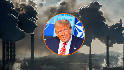 ”Let’s go back 100 years’: Donald Trump wants more ‘coal’ because solar panels covering ‘half a mountain’ hurt his feelings