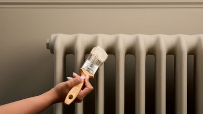 What Actually Is Super Matte Paint? This Trending Finish Is What All the Brands Are Launching — Here's What It Means