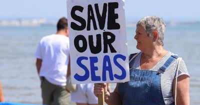 MSPs seek views on proposals for new ‘ecocide’ law to tackle polluters