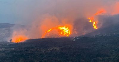 Wildfires becoming 'danger to human life', Scottish Government warned