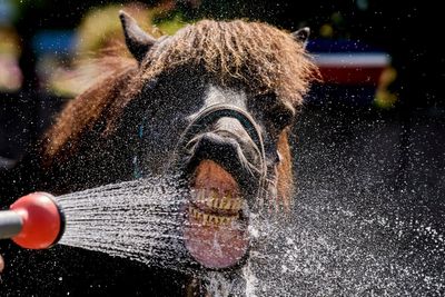 Photos show how extreme heat is affecting parts of Europe