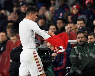 Substituted players unleashed: latest TV tweak will push media training to the limit